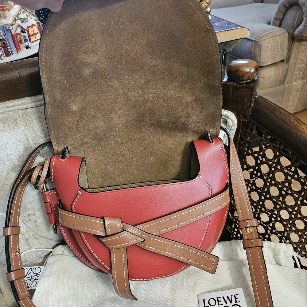 Loewe Gate Tricolor Bag - Picture 8 of 14